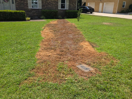 Protect Your Property: Understanding and Preventing Water and Sewer Line Failure