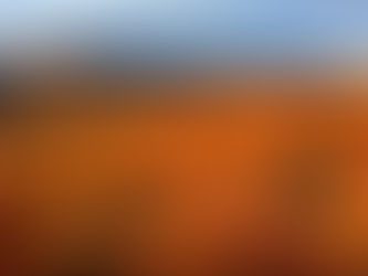 Embrace the Beauty and Stay Prepared: Don't Let Fall Plumbing Foes Ruin Your Family Gatherings 🍂🦃