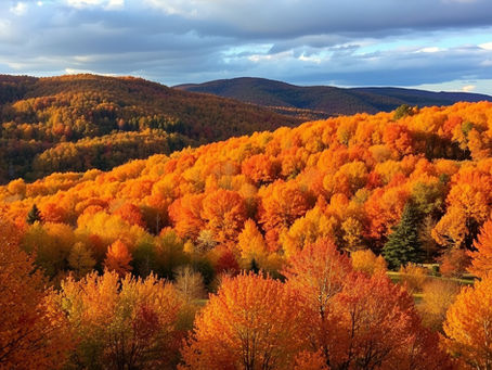 Embrace the Beauty and Stay Prepared: Don't Let Fall Plumbing Foes Ruin Your Family Gatherings 🍂🦃
