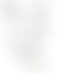 Wine Raffle - Support the Centre 