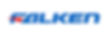 falken.jpg