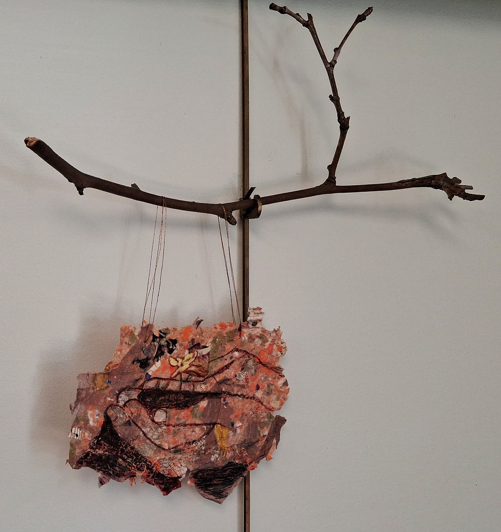 Drawing with handmade paper, dried flowers and filaments to speak of the delicate balance between harming and healing nature
