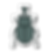 PORTFOLIO_2025_2_v2_besouro.png