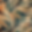 Screenshot 2025-02-25 at 4.26.38 PM.png