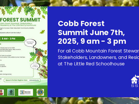 Please join us at the first Cobb Mountain Forest Summit on June 7th, 2025, 9 am-3pm at The Little Red Schoolhouse