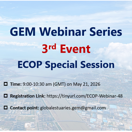 Preview of GEM Webinar Series: 3rd Event