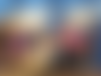 聯合國認可城大監測全球河口研究項目