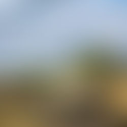 GEM Programme Shines at SETAC Congress in Johannesburg