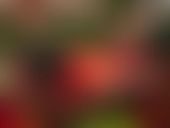 【北大龙舟队】2025 新英格兰北大校友会龙舟队训练报名开启!