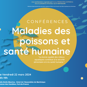 Cette conférence a permis de sensibiliser à l’importance du lien entre la santé des milieux aquatiques et la santé humaine et donc à la restauration des continuités écologiques Terre et Mer, par la réduction des pressions sur la ressource eau. L’équipe médicale du pôle Santé environnemental du CHU de Martinique, nous ont offert deux conférences et un vétérinaire spécialiste des poissons a fait une prestation. 
