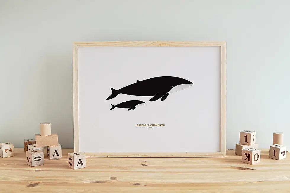 Miniature : Affiche A3 d'une baleine et son baleineau dans un cadre chêne