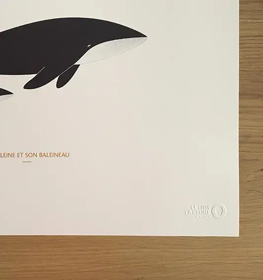Miniature : Affiche minimaliste d'une baleine et son baleineau