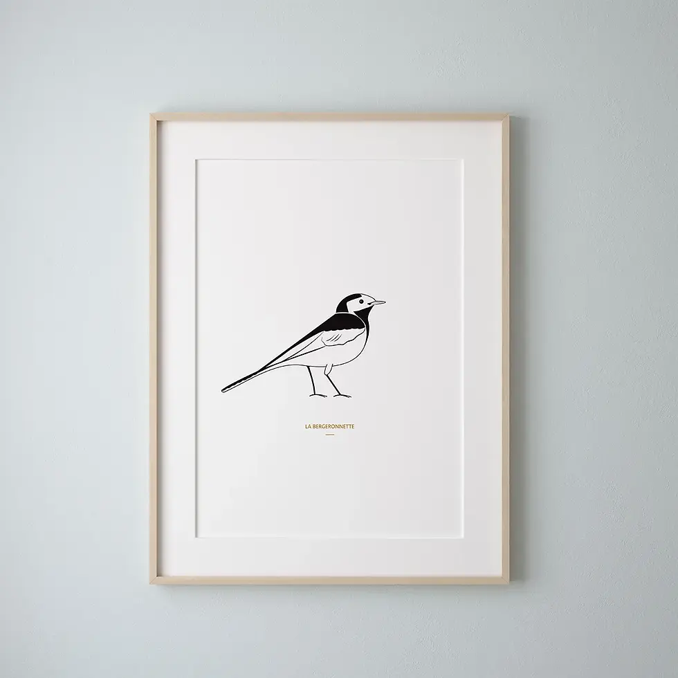 Affiche encadrée d'un oiseau en noir et blanc