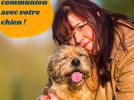 Le chien est le seul être qui vous aime plus qu’il ne s’aime lui-même