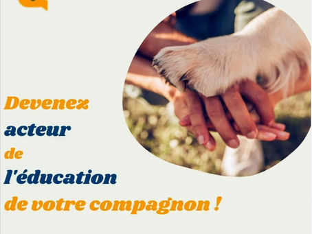 quelques informations à ne pas oublier