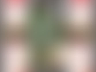 We have completed our 4 Day IMDT Training!