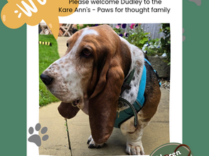 Please give a warm welcome to Dudley.