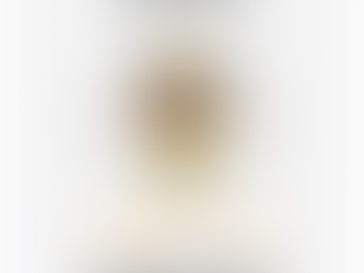 XI Edição do Palmo e Meio de Leituras