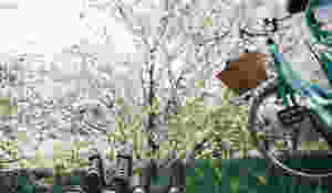 Spring template