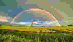 Spring template