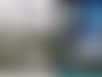 QUEM FOI CHARLES EASTMAN