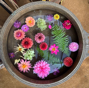 Fleurs éclatantes et couleurs douces sur une table envois, un sentiment chaleureux de retour et d'appartenance