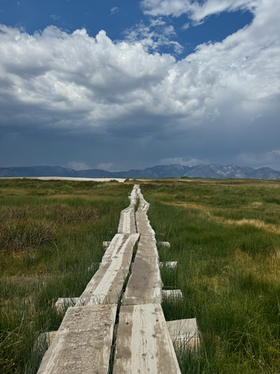 Un chemin en bois traversant une prairie ouverte et menant vers des montagnes lointaines, sous un ciel vaste et changeant.