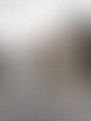 Fissure - Holland Village