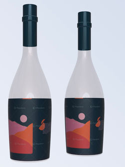 Screenshot 2023-04-26 at 10.56.24.jpg