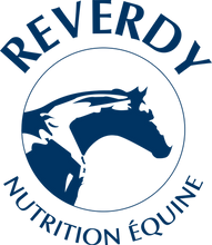 logo_reverdy_bleu.png