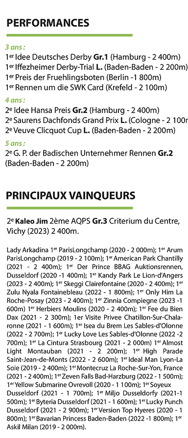 WALDPARK PERF (1).png