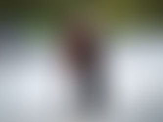 bilan vente de yearlings de caen - J2