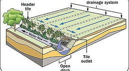 Drainage System.jpg