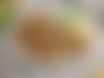 Southern Croquettes (high protein)