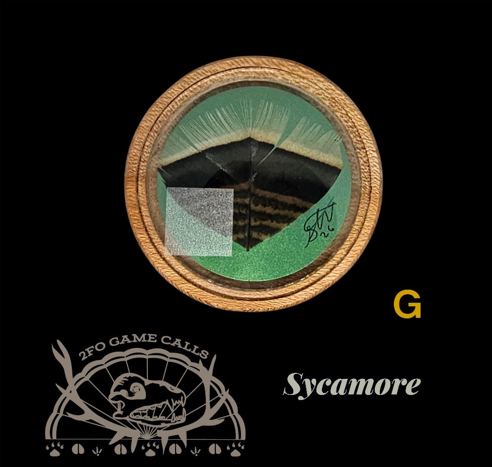 Thumbnail: Glass over Glass Feather Call
