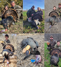 Untitled design (88).png