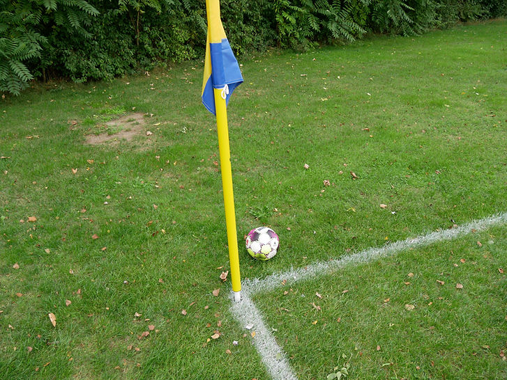 P1010400.jpg