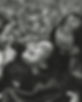 B05A8899.jpg