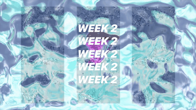 LESSStudioGenZandSustainabilityG.gif