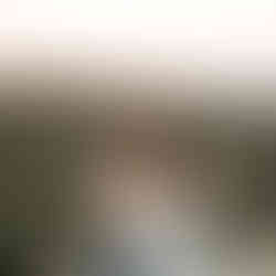 golden hour photo session