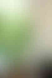 5N0A1766