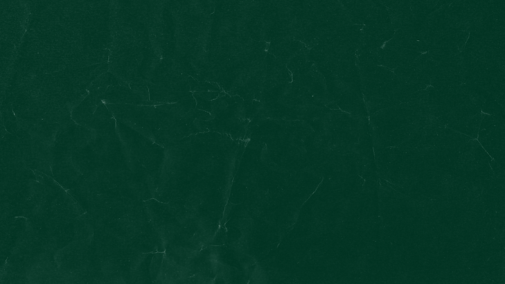 Fundo principal - salute.png