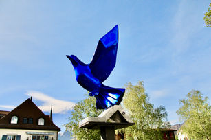 IMG_6664.jpeg