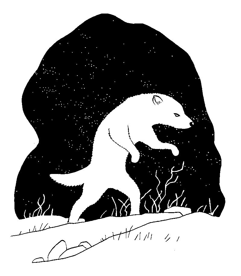 Tanya Tagaq's 'Split Tooth' and the Resilience of Spirit