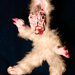 Rabbit Attacks