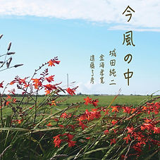 今風の中 城田純二 CD 内藤希花CD「Gentle Wave」・城田純二CD「今 風の中」