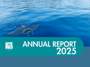 Our 2025 Annual Report is Here:   The Logbook of Our Journey