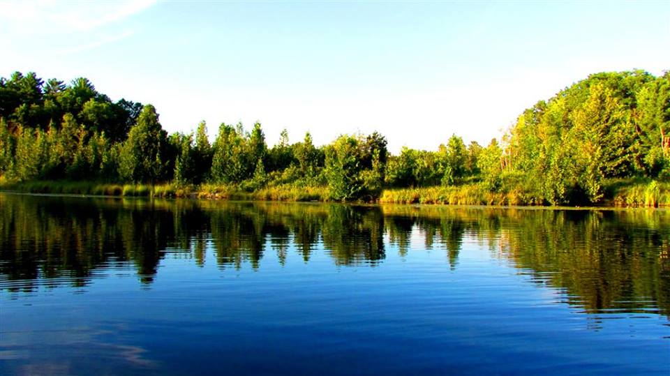 Cedar Shores Campground - Main photo