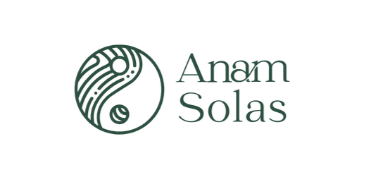 ANAM SOLAS LOGO_edited.png