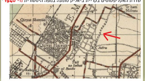 ערר נגד כריתת אקליפטוסים היסטוריים טיילת קריית ביאליק. כריתה- חברת חשמל